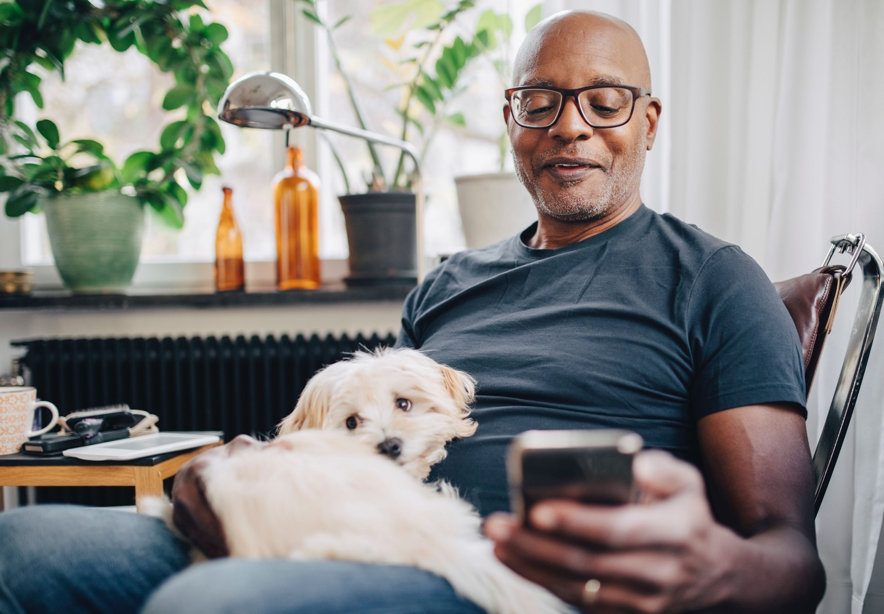 man looking at phone with white small dog on his lap